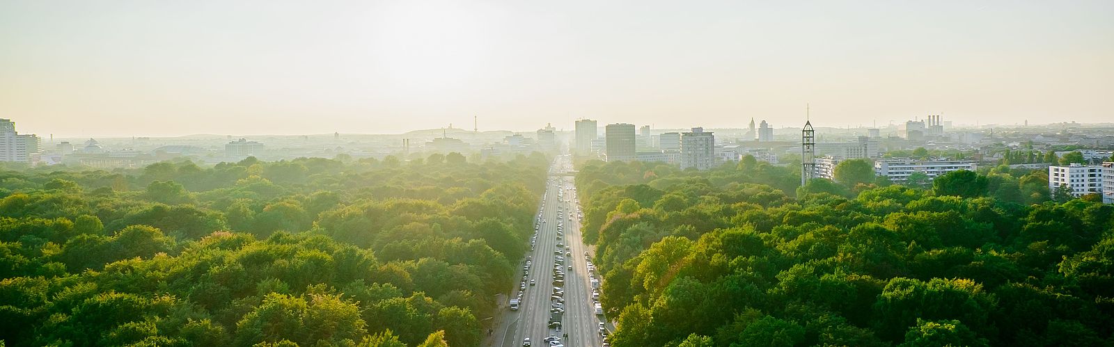Aerial view of highway admidst trees