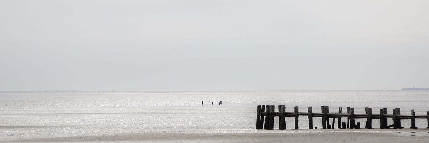 North Sea Wadden Sea 